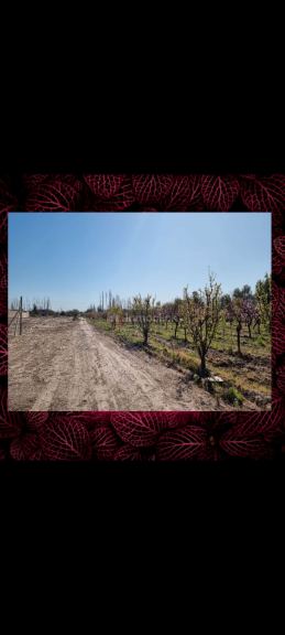 Lote en Callle Julio Rocca