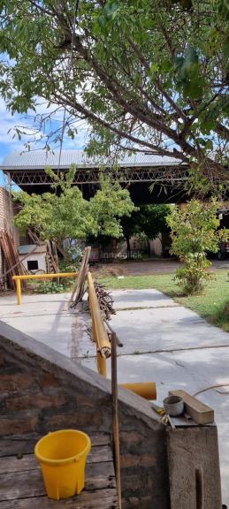Imagen 20