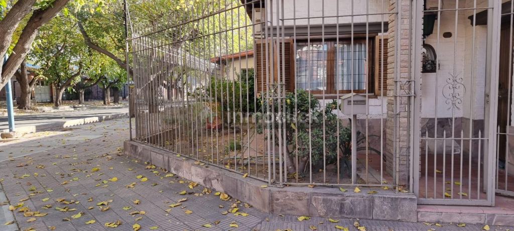 Imagen 22