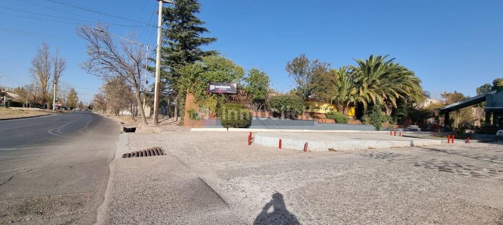 Imagen 6