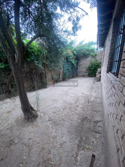 Imagen 6