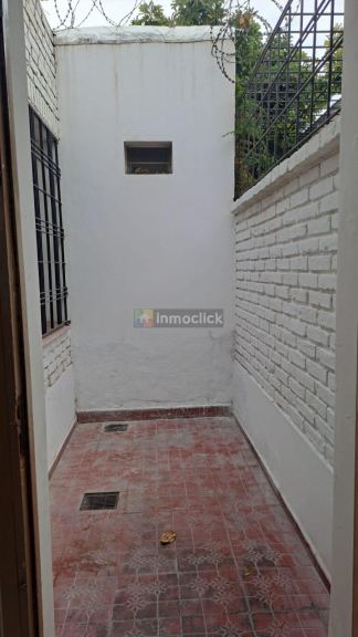 Imagen 7