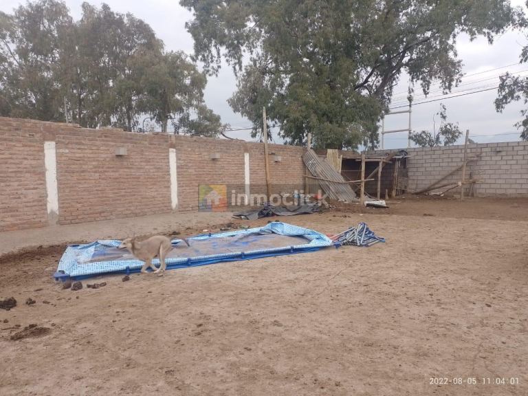 Imagen 9