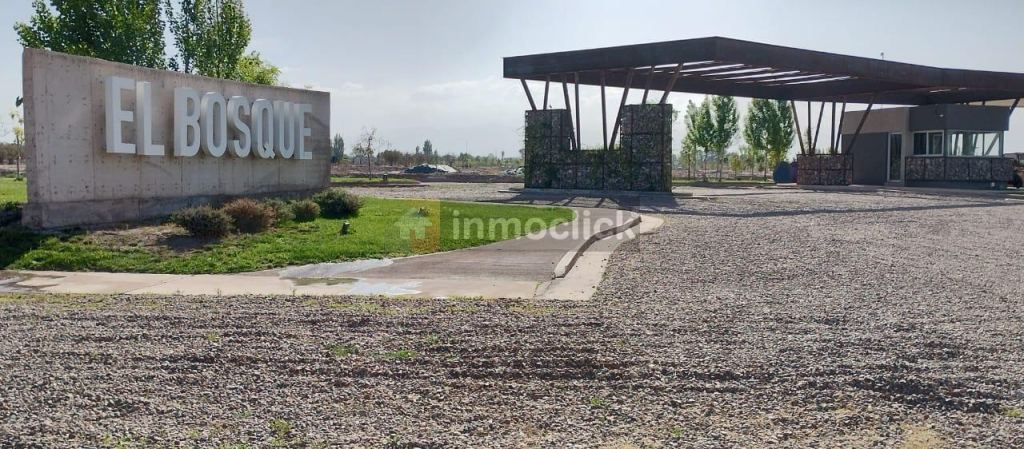 Imagen 6