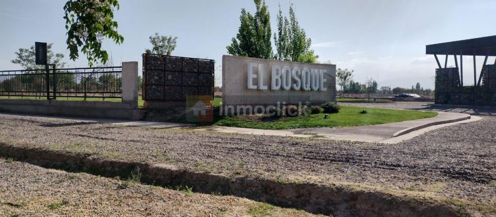 Imagen 5
