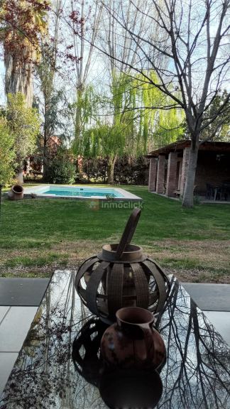 Imagen 11