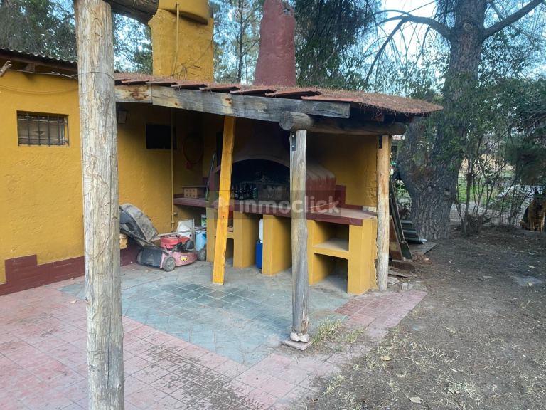 Imagen 13
