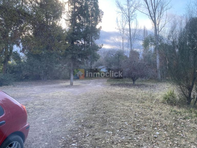 Imagen 8