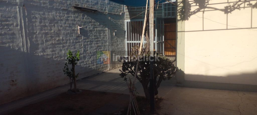 Imagen 7