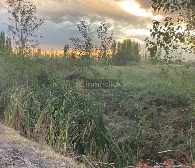 Lote en SEVERO DEL CASTILLO