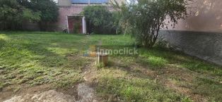 Imagen 20