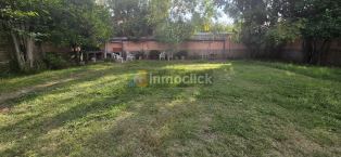 Imagen 14
