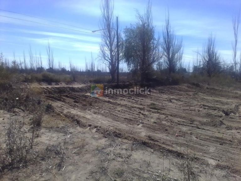 Imagen 3