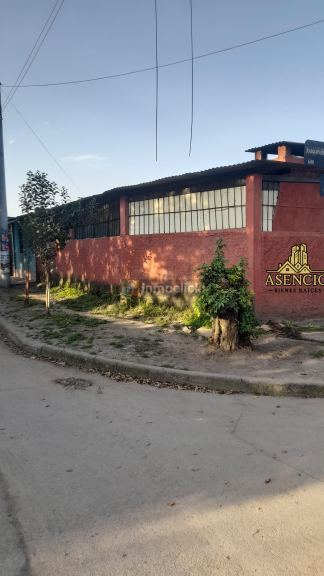Imagen 11