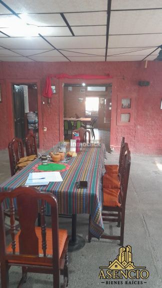 Imagen 5