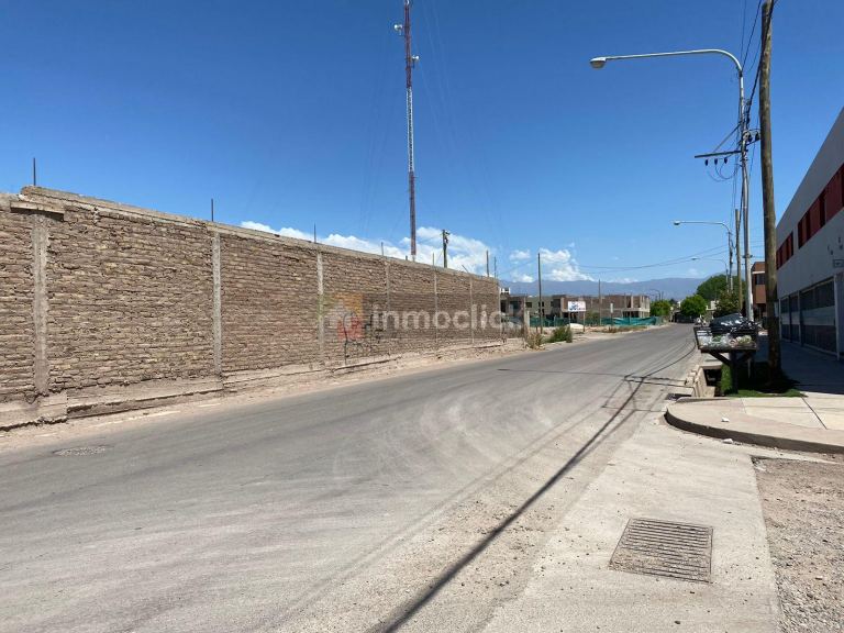 Imagen 20