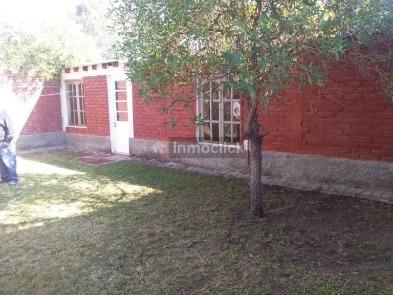 Imagen 6
