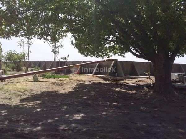 Finca en Montecaseros, San Martin