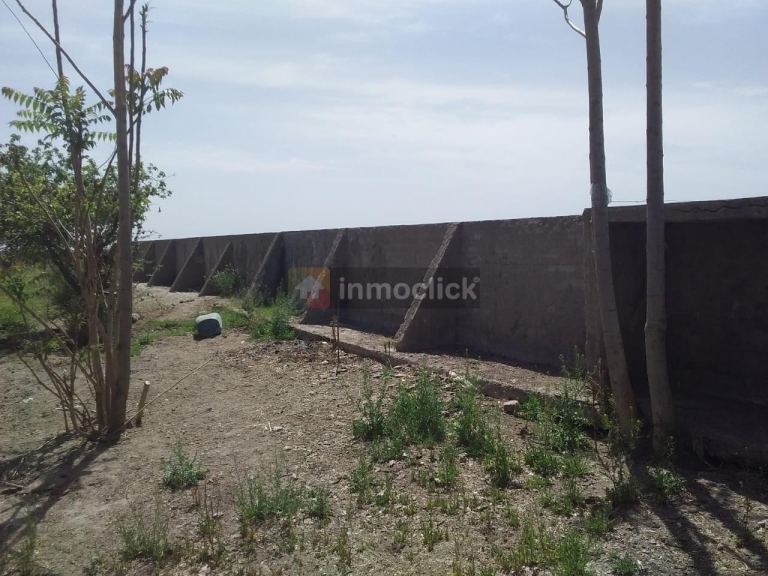Imagen 11