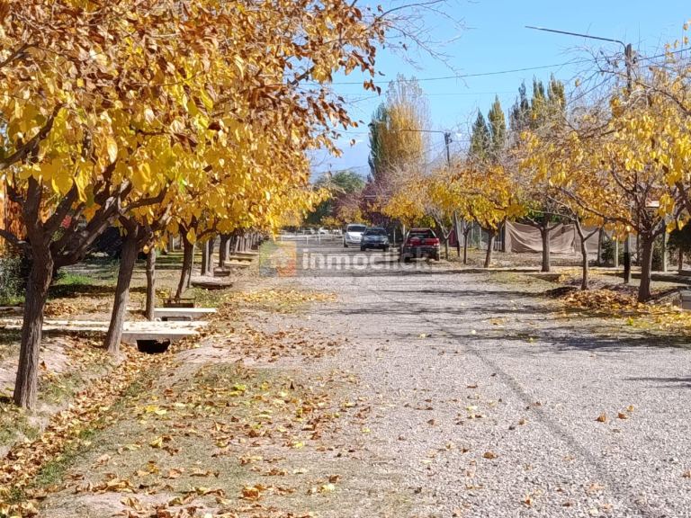 Lote en GUARDIA VIEJA 1503