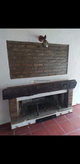 Imagen 5