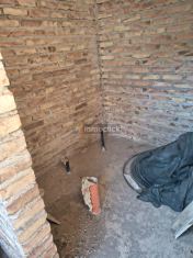 Imagen 14