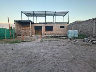 Imagen 16