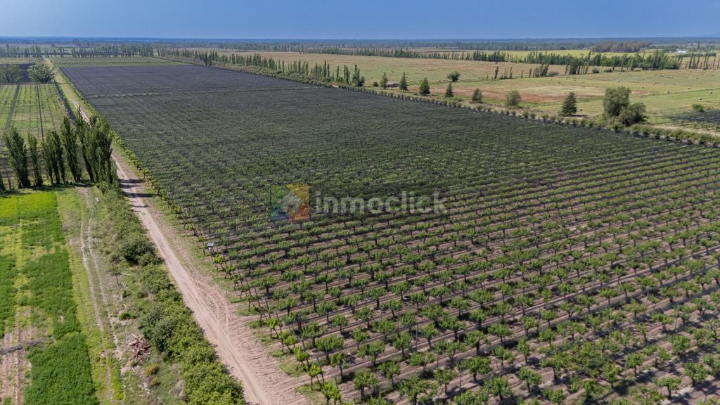 Finca en https://maps.app.goo.gl/5he23yP2pJPCLThYA