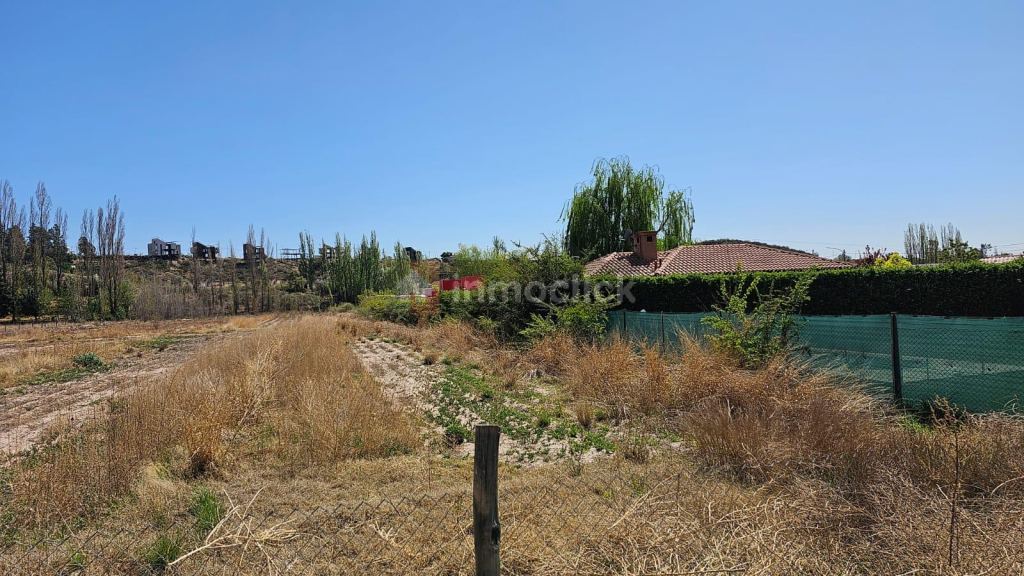 Imagen 11