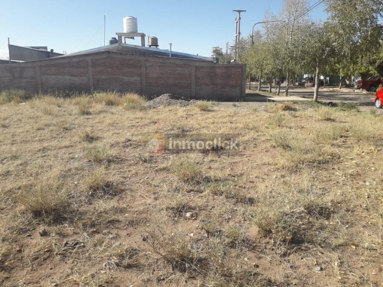 Imagen 6