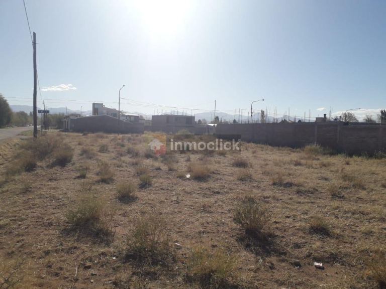 Imagen 3
