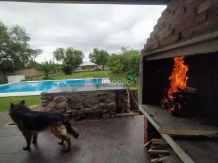 Imagen 4