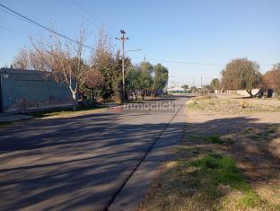 Imagen 23