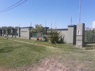 Imagen 25