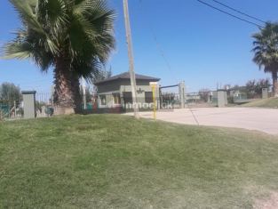 Imagen 24