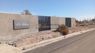 Imagen 5