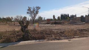 Imagen 3