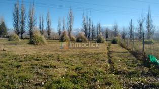 Imagen 4