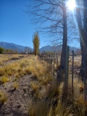 Imagen 5