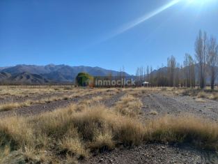 Imagen 4