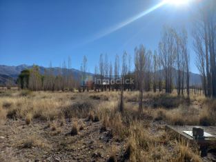 Imagen 6