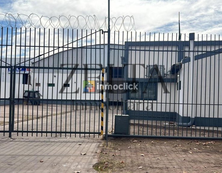 Imagen 2