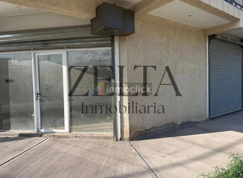 Imagen 5