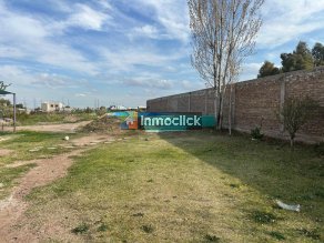 Imagen 11