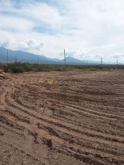 Imagen 6