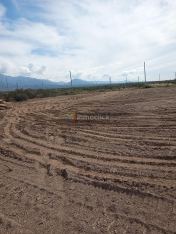 Imagen 5