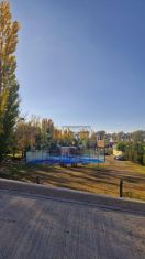 Imagen 5