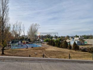 Imagen 8