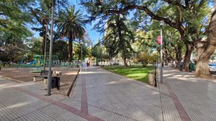 Imagen 20