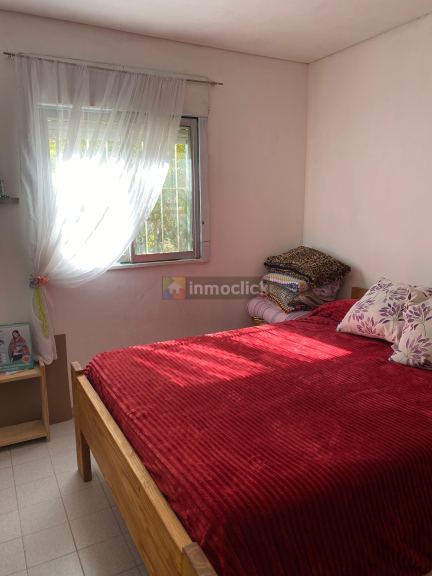 Imagen 5